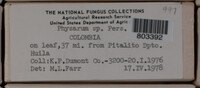 Image Associated With the Occurence